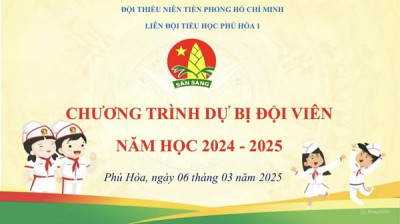 Chương trình Dự bị đội viên năm học 2024 - 2025